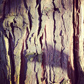Intstagram Thumbnail