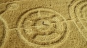    Specsavers for Crop Circles