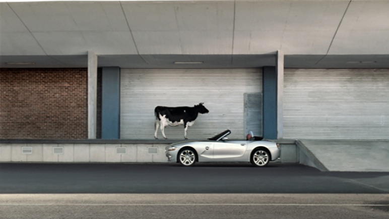  bmw-animals-01 - 